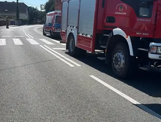 Pomoc ZRM w Smolarni – interwencja OSP i PSP