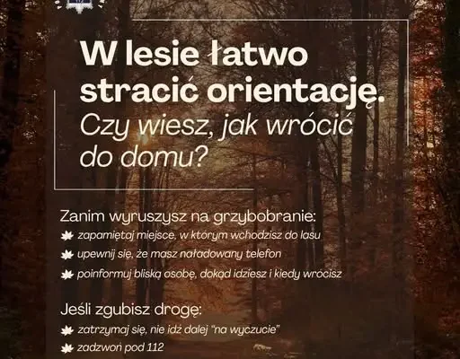 Zaginiona 76-latka odnaleziona w lesie. Policja apeluje o rozwagę podczas grzybobrania