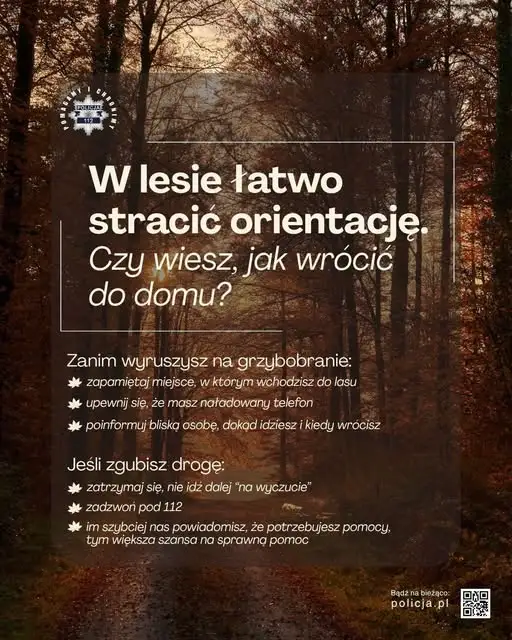 Zaginiona 76-latka odnaleziona w lesie. Policja apeluje o rozwagę podczas grzybobrania