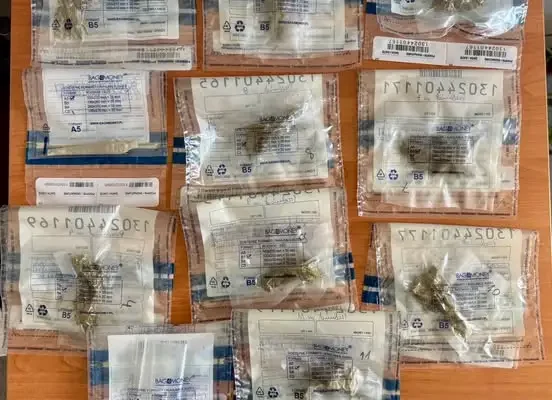 Interwencja policji w gminie Walce: 33-latek pod wpływem amfetaminy
