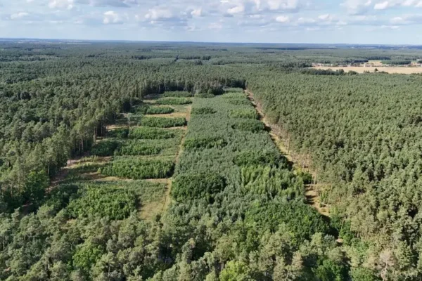 Zarządzenie Wójta Gminy Walce w sprawie ogłoszenia przetargu na sprzedaż nieruchomości